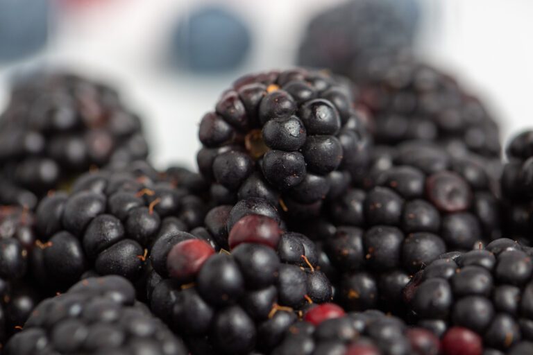 Fruit Juice Concentrates